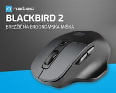 Natec BLACKBIRD 2 bežični miš, ergonomski, USB 2.4GHz, 1600DPI, tihe tipke, 1x AA, crni