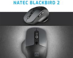 Natec BLACKBIRD 2 bežični miš, ergonomski, USB 2.4GHz, 1600DPI, tihe tipke, 1x AA, crni
