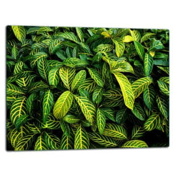 STAKLENA DASKA ZA REZANJE 52x40 ZELENA