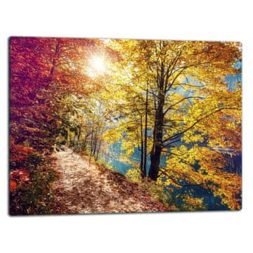 STAKLENA DASKA ZA REZANJE 52x40 PEJZAŽNA