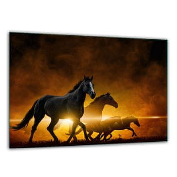 DASKA ZA REZANJE OD KALJENOG STAKLA 30x22 KONJA