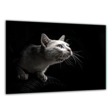 DASKA ZA REZANJE OD KALJENOG STAKLA 30x22 KAT