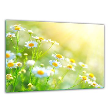 DASKA ZA REZANJE OD KALJENOG STAKLA 30x22 CVIJEĆA