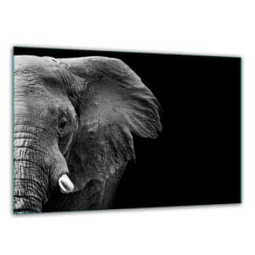 DASKA ZA REZANJE OD KALJENOG STAKLA 30x22 SLON