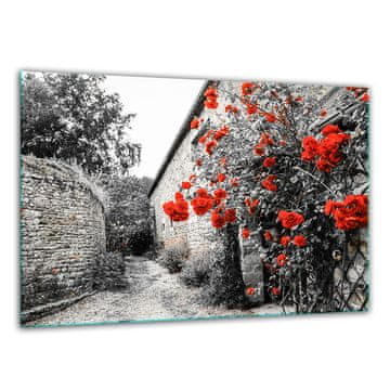 DASKA ZA REZANJE OD KALJENOG STAKLA 30x22 CITY