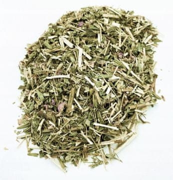 GOMOLJASTA BILJKA 500 G 100% PRIRODNA
