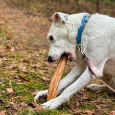 4DOG 4DOGS žvakaće tablete s okusom cimeta veličine M