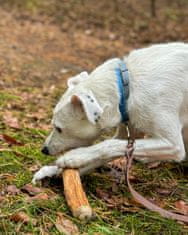 4DOG 4DOGS žvakaće tablete s okusom cimeta veličine M