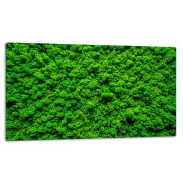 STAKLENA DASKA ZA REZANJE 52x30 ZELENA