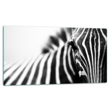 STAKLENA DASKA ZA REZANJE 52x30 ZEBRA