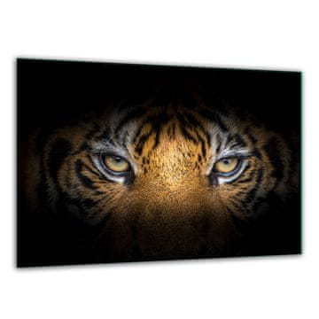 DASKA ZA REZANJE OD KALJENOG STAKLA 30x22 TIGER