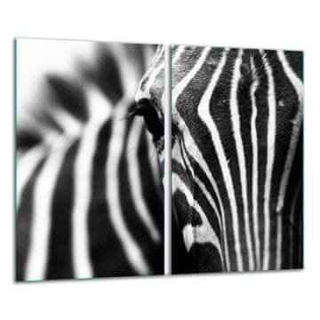 STAKLENA DASKA ZA REZANJE 2x 30x52 ZEBRA
