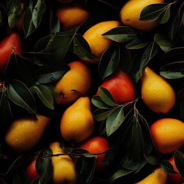 VANJSKI DEKOSTOFFE OXFORD - Motiv Obst | DX6020