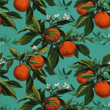 VANJSKI DEKOSTOFFE OXFORD - Motiv Obst | DX6306