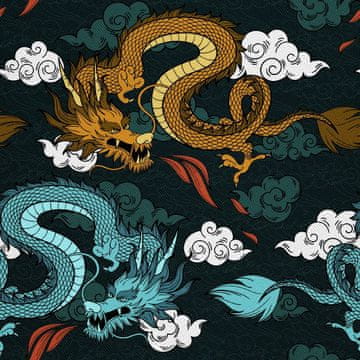 VANJSKI DEKOSTOFFE OXFORD - Motiv Drachen in den Wolken I DX277