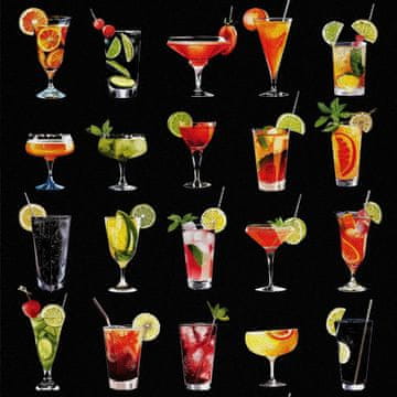 VANJSKI DEKOSTOFFE OXFORD - Motiv Cocktail | DX8762