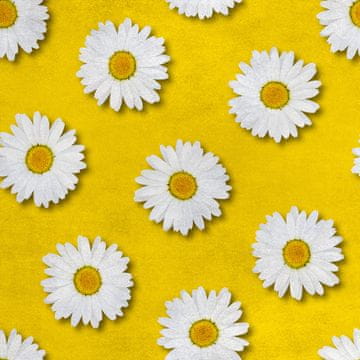 Royal Samt Stoff Polyester Zum Nähen - Motiv Gänseblümchen auf gelbem