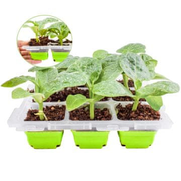 Nikcorp Posuda za sjetvu s poklopcem mini staklenik 9 ćelija 5,6x5,6x4,5 cm za sadnice i presadnice bez BPA