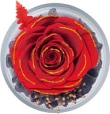 Nikcorp Figurica anđela s pravim konzerviranim ružama, crveno zlato, staklena kupola, poklon za mamu i baku, trajni ukras