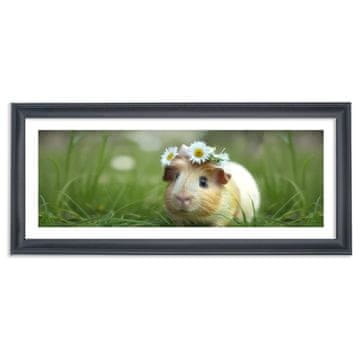 Nikcorp Drveni panoramski okvir za slike 30,5x66 cm crni s organskim staklom za zidnu dekoraciju