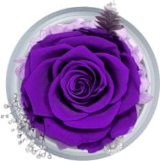 Nikcorp Figurica anđela s konzerviranim ljubičastim ružama u staklenoj kupoli, trajni poklon za žene, 11x16 cm