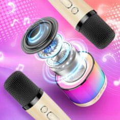 RGB BEŽIČNI ZVUČNIK MIKROFON BLUETOOTH KARAOKE SET 2 MIKROFONA