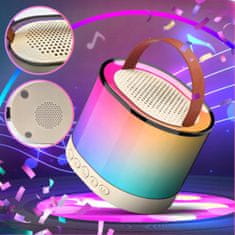 RGB BEŽIČNI ZVUČNIK MIKROFON BLUETOOTH KARAOKE SET 2 MIKROFONA