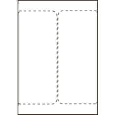 Capture Etikete za otpremu 105 x 220 mm, za laserske/inkjet pisače, 2 kom/list, 500 listova/kutija, SHIPLABEL105X220-I2P