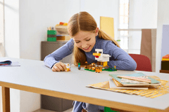 LEGO Minecraft 21585 Farma pilića