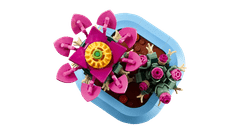LEGO Botanicals 11509 Kaktus u cvatu