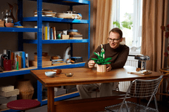 LEGO Botanicals 11504 Mirni ljiljan (Peace Lily)