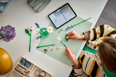 LEGO Botanicals 11508 Ivaničice