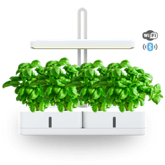 Smart Garden Simply Pro "Imunitet" set