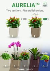 Smart Garden Aurelia Pro - samozalijevajuća tegla s LED lampom, Cement Grey