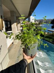 Smart Garden Aurelia Pro - samozalijevajuća tegla s LED lampom, Cement Grey