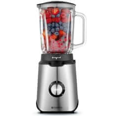 Champion Blender 1,5 l 600 W stakleni vrč od nehrđajućeg čelika