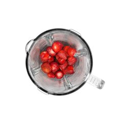 Champion Blender 1,5 l 600 W stakleni vrč od nehrđajućeg čelika