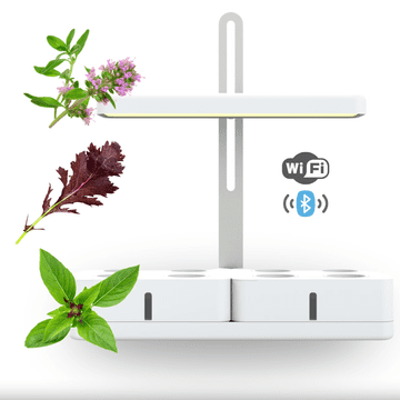 Smart Garden Simply Pro "Imunitet" set