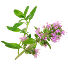 Smart Garden Simply Pro "Imunitet" set