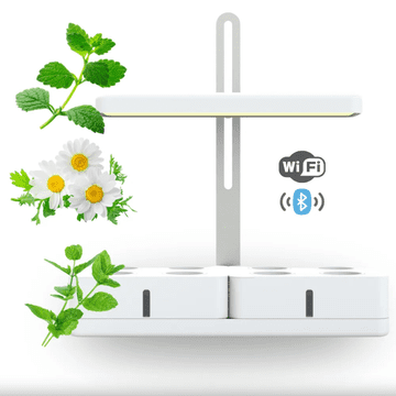 Smart Garden Simply Pro "Trio Tea" set