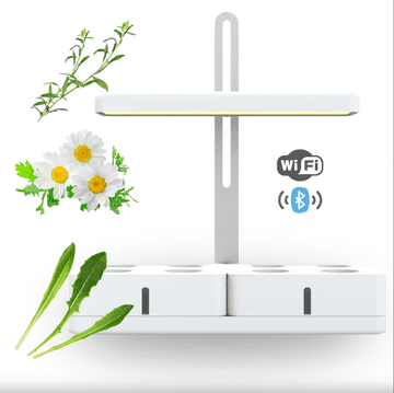 Smart Garden Simply Pro "Probava" set