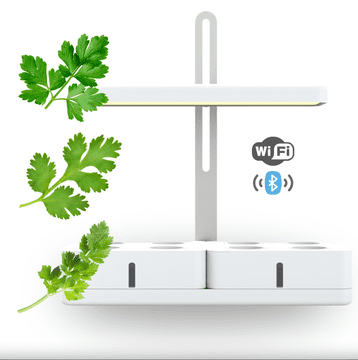 Smart Garden Simply Pro "Detox" set