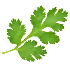 Smart Garden Aurelia Classic “Detox” set