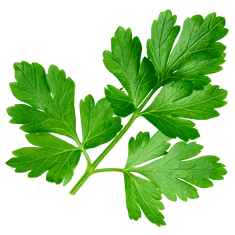 Smart Garden Simply Classic "Detox" set