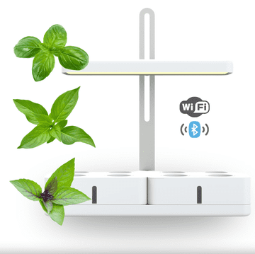 Smart Garden Simply Pro "Trio Bosiljak" set
