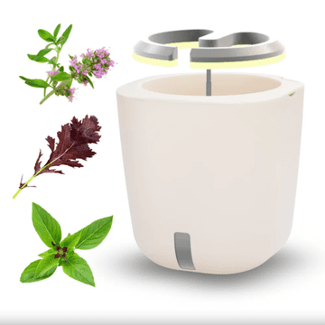 Smart Garden Aurelia Pro “Imunitet” set