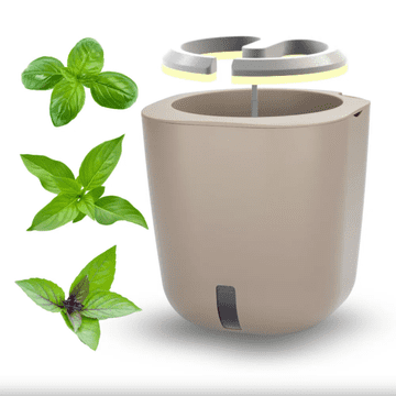 Smart Garden Aurelia Pro “Trio Bosiljak” set