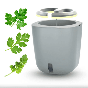 Smart Garden Aurelia Pro “Detox” set