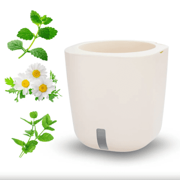 Smart Garden Aurelia Classic “Trio Tea” set