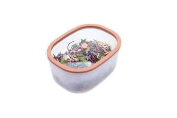 Status Vakuumska limenka FRESKO VREĆICA LIMENKA 2.3L 177159 LOSOS